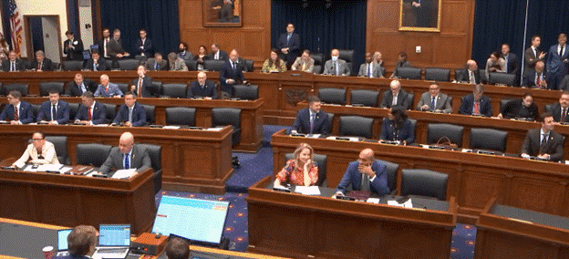 Casting My First Committee Vote