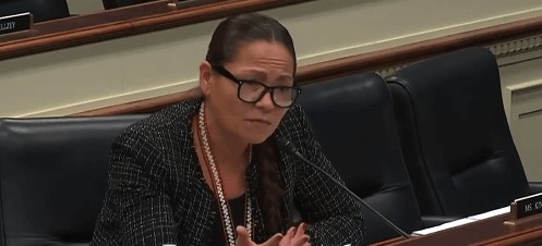 Standing Up for Small Businesses HCSB hearing on Lending Programs and Community Banks