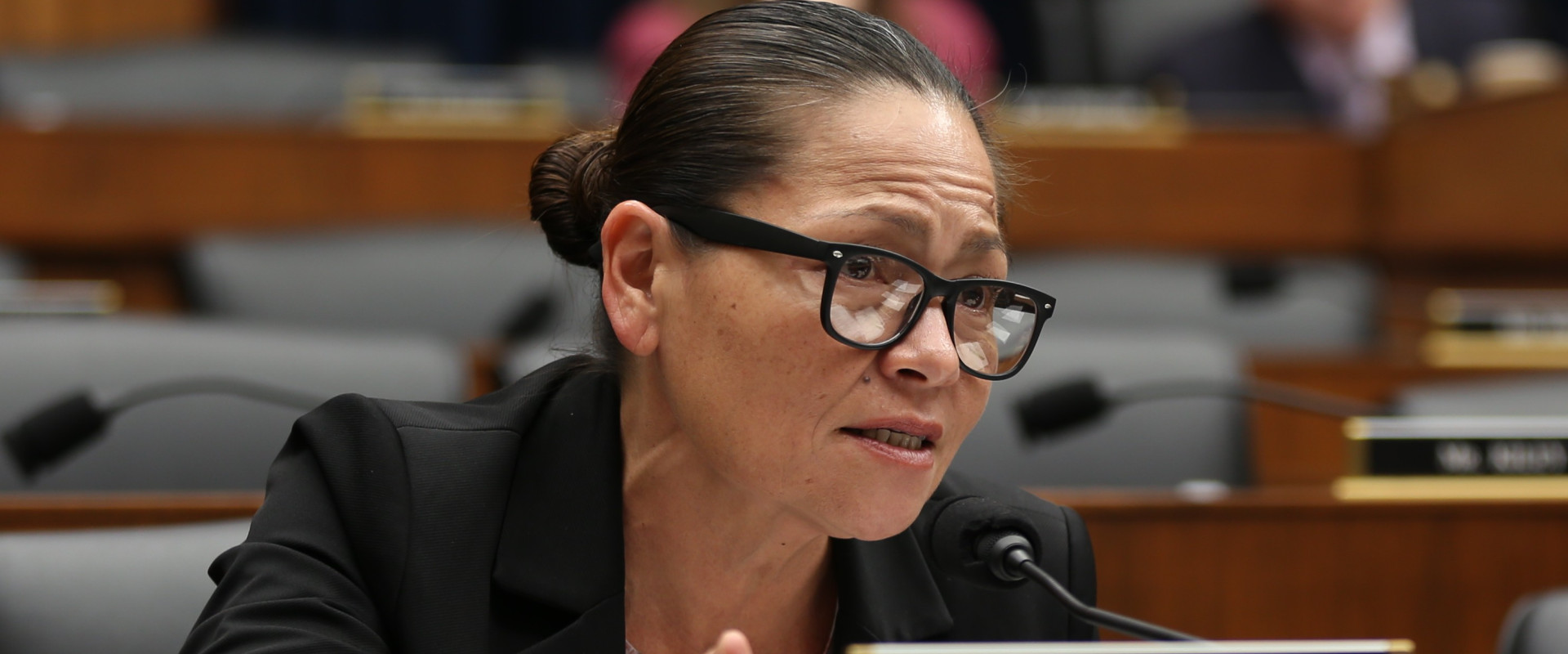 Rep. King-Hinds at Committee Hearing